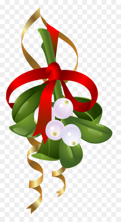 Free Png Christmas Holly Mistletoe 