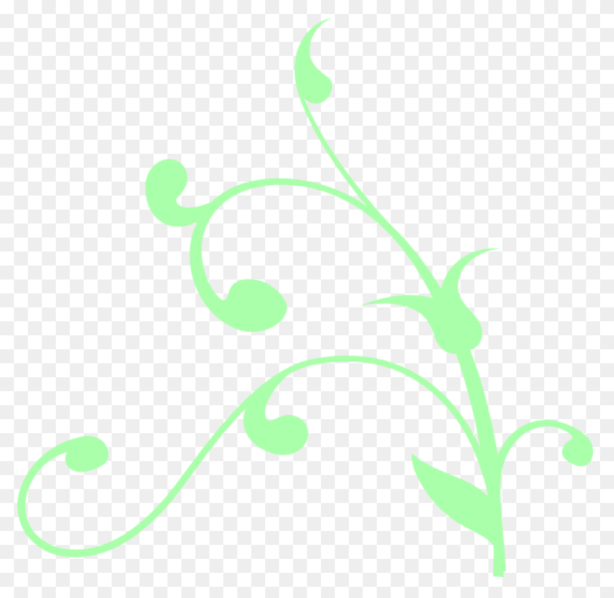 Peppermint Plant Image - Mint Plant