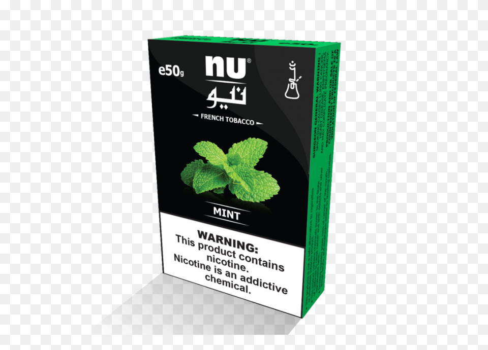 Peppermint Plant Image - Mint Plant