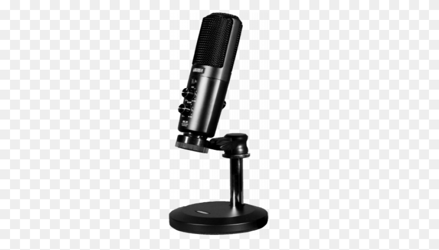 Leezen Mic.01