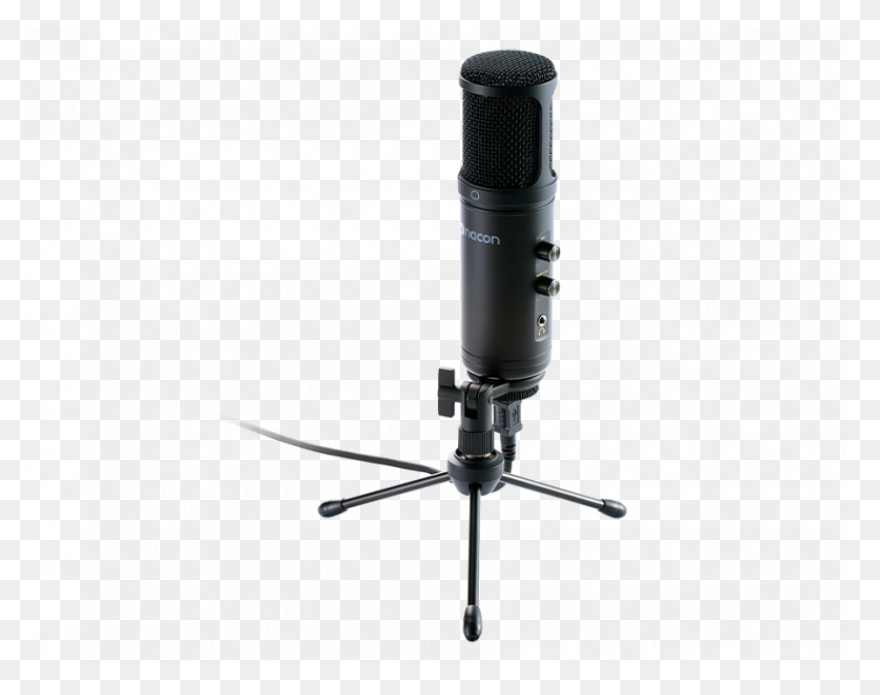 Leezen Mic.01