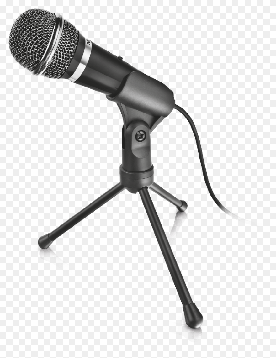 Leezen Mic.01