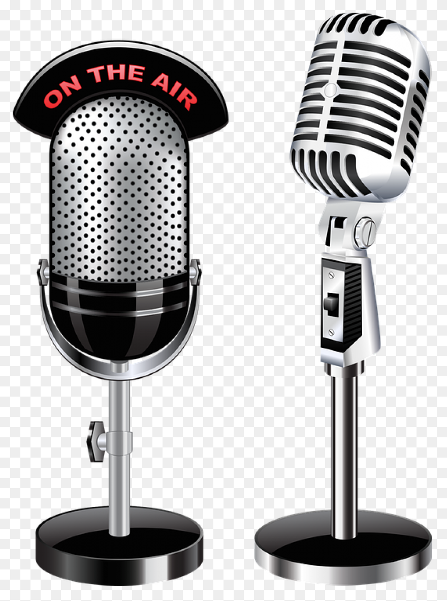Leezen Mic.01
