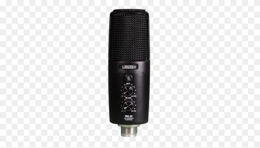 Leezen Mic.01