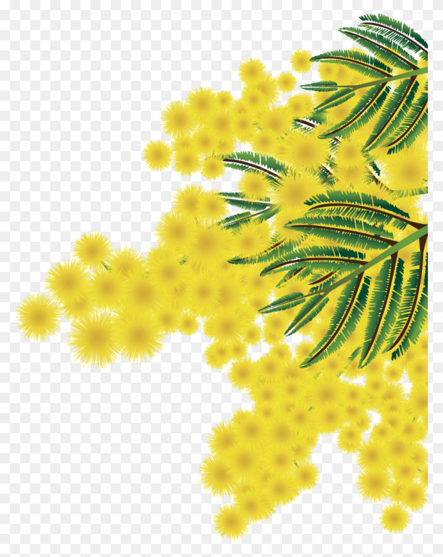 Blushing Mimosa Recipe By Bonnie Wi