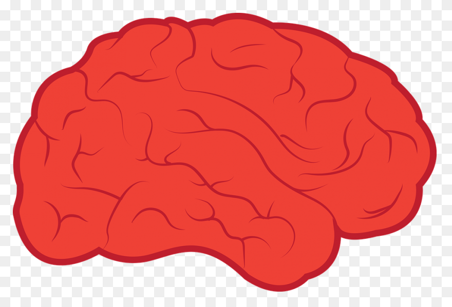 Mind Clipart Blank - Brain Outline 