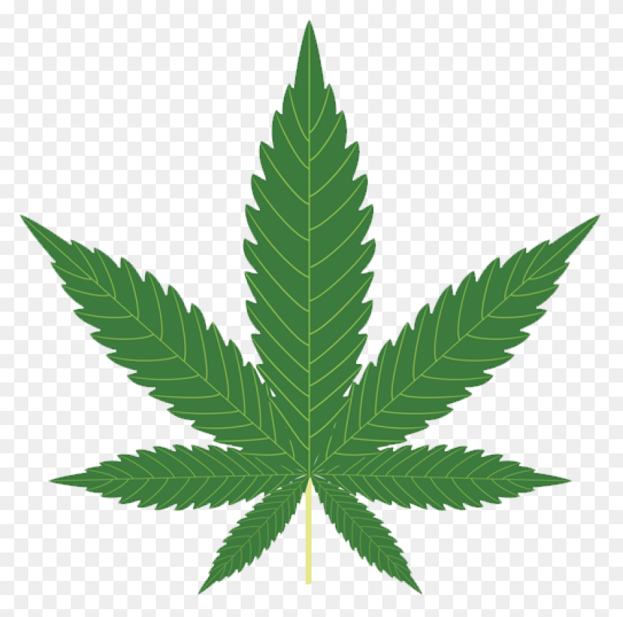 Download #млг #mlg Toronto Maple - Mlg Blunt