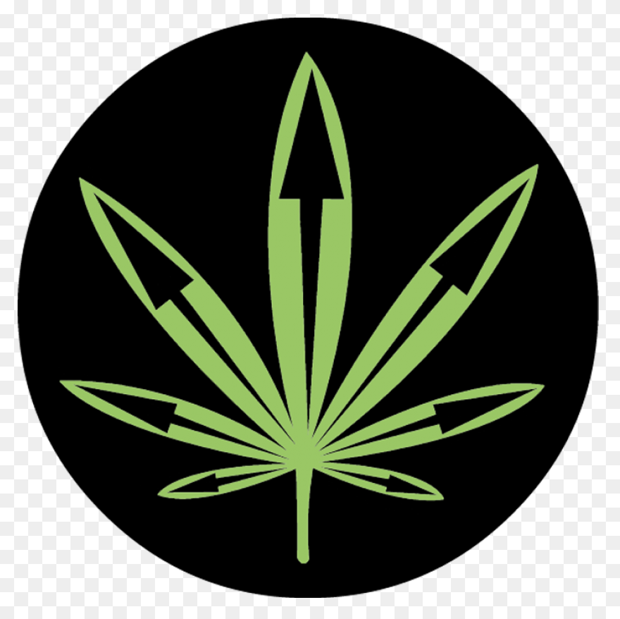 Mlg Logo Png Transparent & PNG-