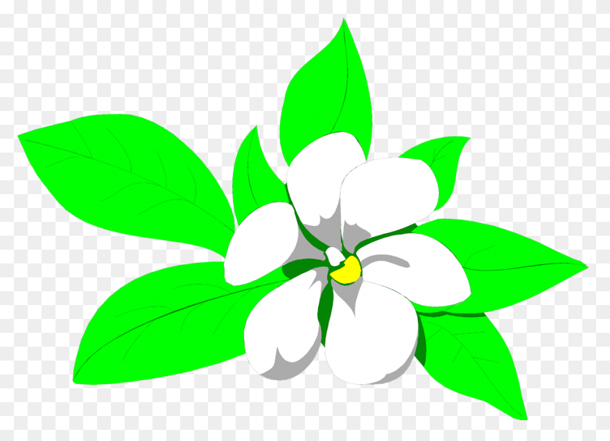 Vanilla Extract - Ayurvedic Ingredi