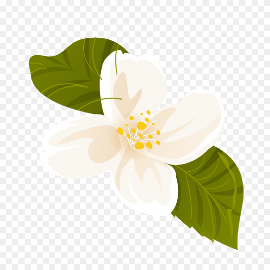 Vanilla Extract - Ayurvedic Ingredi
