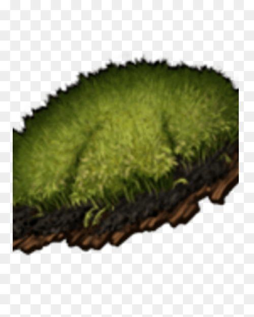 Brown Ground Heights Moss Clipart. 