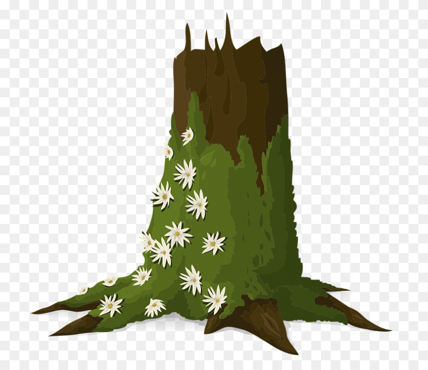 Brown Ground Heights Moss Clipart. 