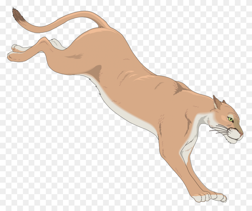 Mountain Lion Silhouette - Free Vec