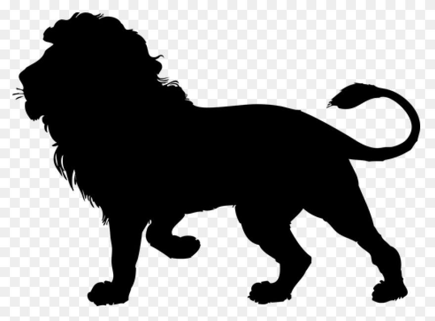 Royalty Free Mountain Lion Walking - Mountain Lion