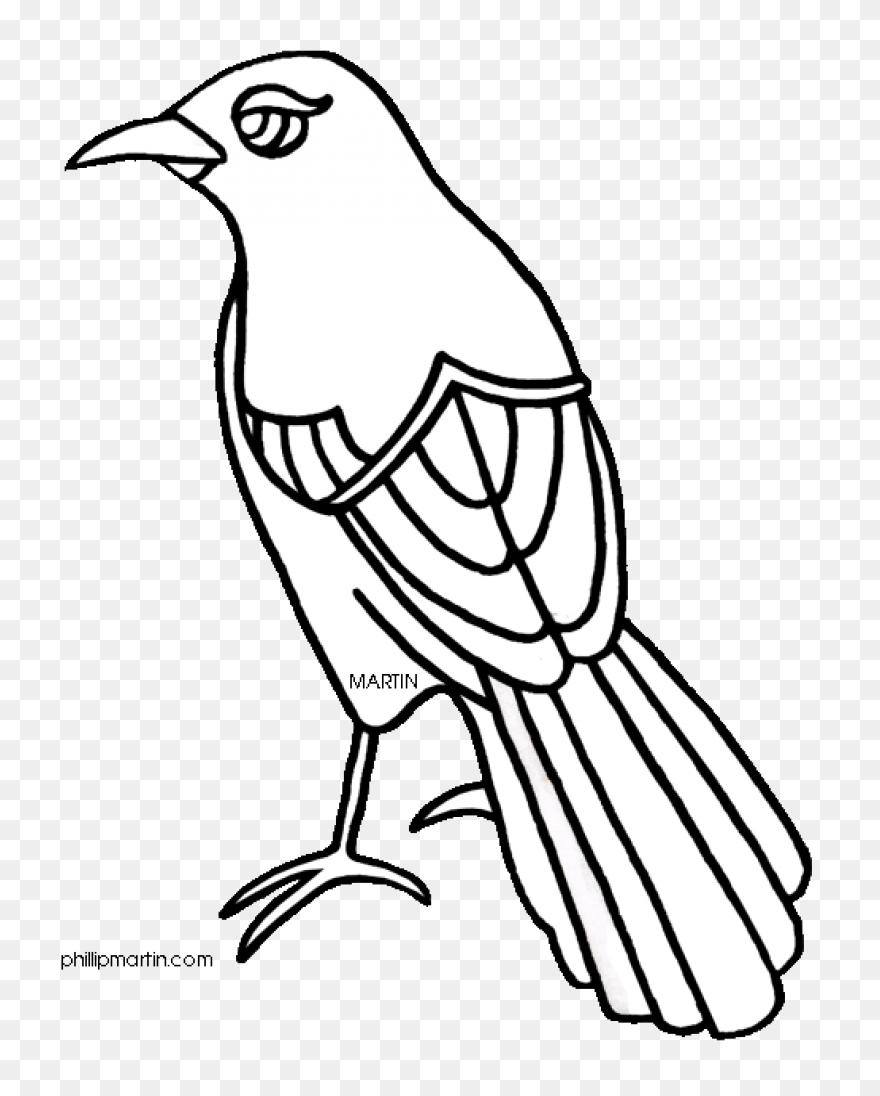 Silhouette Of A Mockingbird Clipart