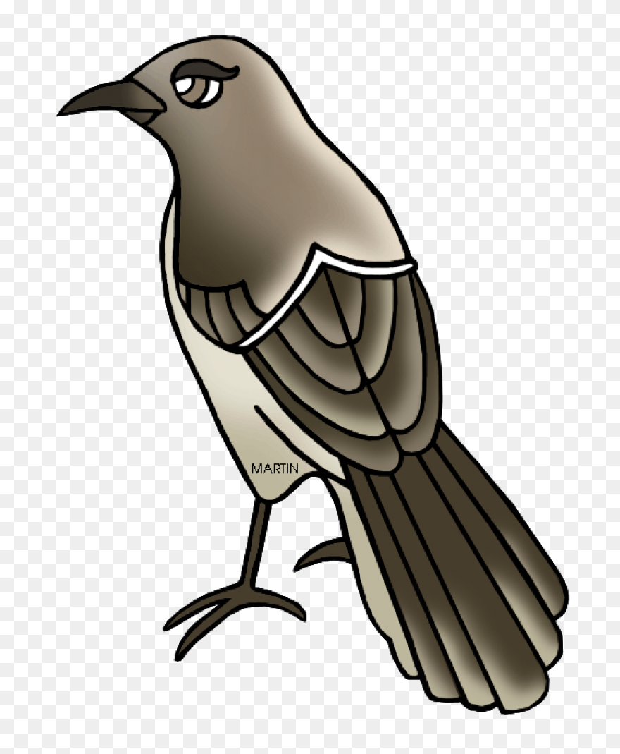 Silhouette Of A Mockingbird Clipart