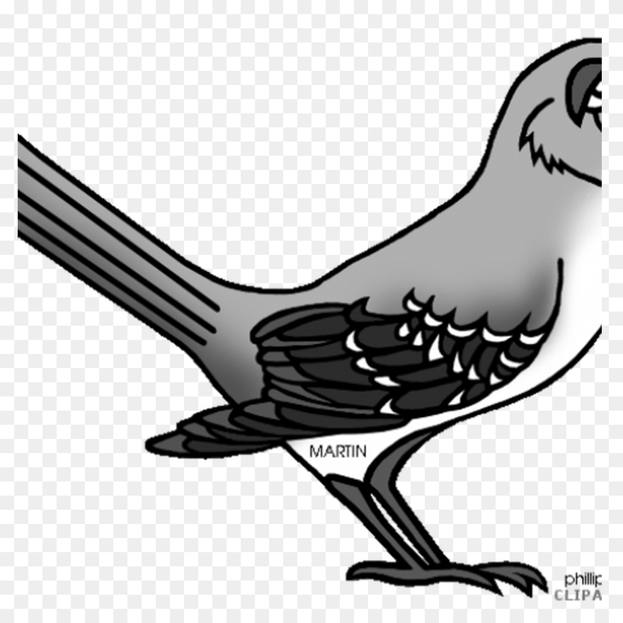Silhouette Of A Mockingbird Clipart