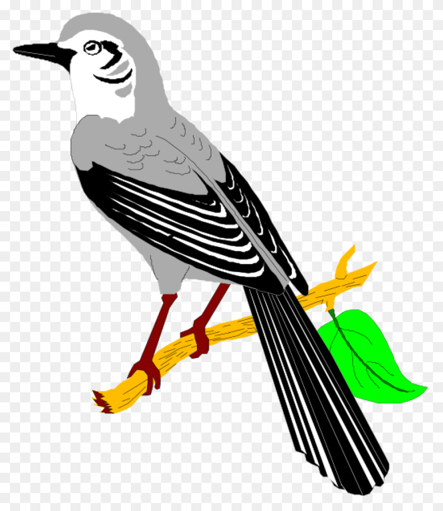 Silhouette Of A Mockingbird Clipart