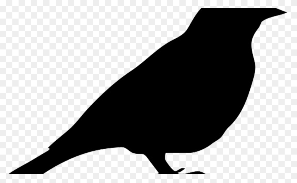 Silhouette Of A Mockingbird Clipart