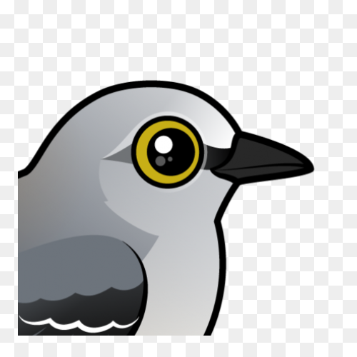 Silhouette Of A Mockingbird Clipart