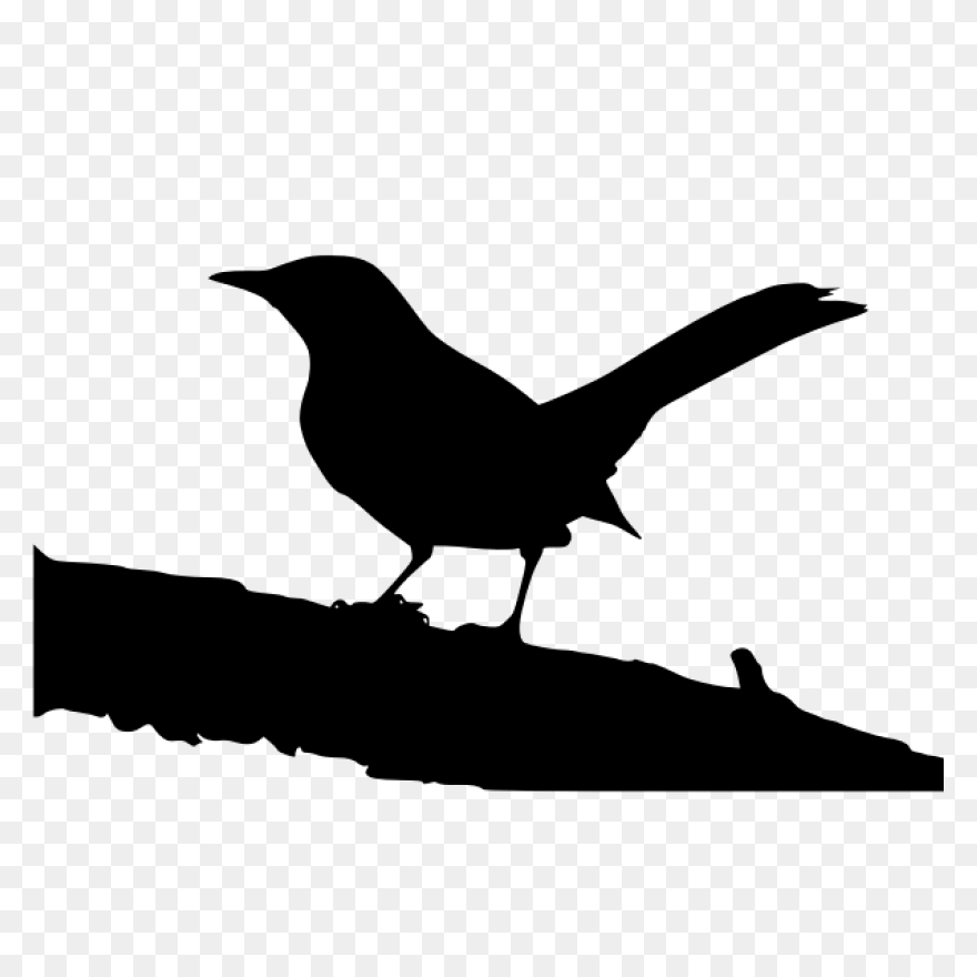 Silhouette Of A Mockingbird Clipart