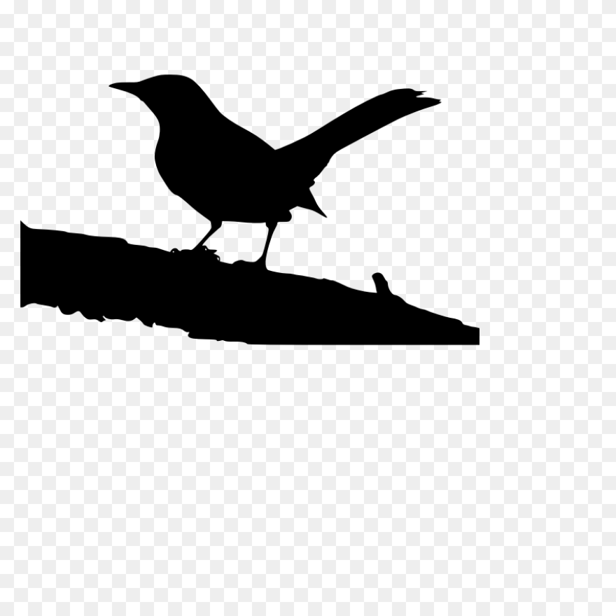 Silhouette Of A Mockingbird Clipart