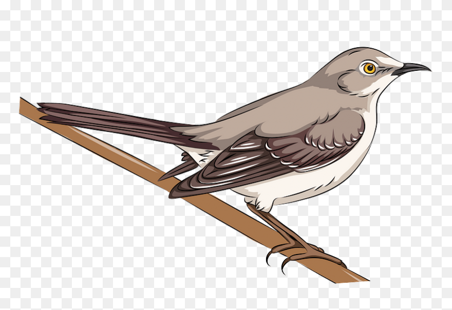 Silhouette Of A Mockingbird Clipart