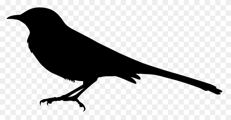 Silhouette Of A Mockingbird Clipart - Mockingbird