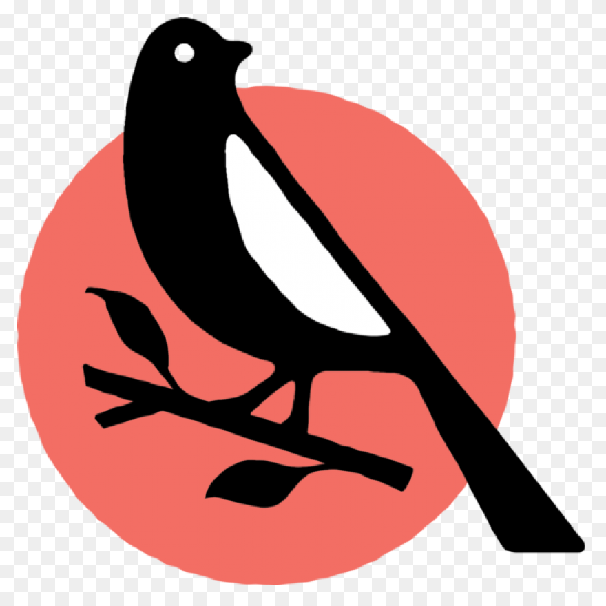 Silhouette Of A Mockingbird Clipart