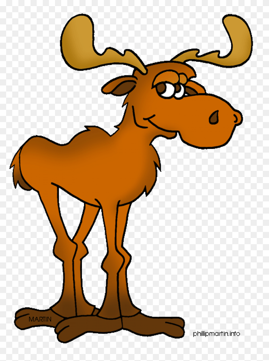 Moose Big Animals M Moose Moose Big