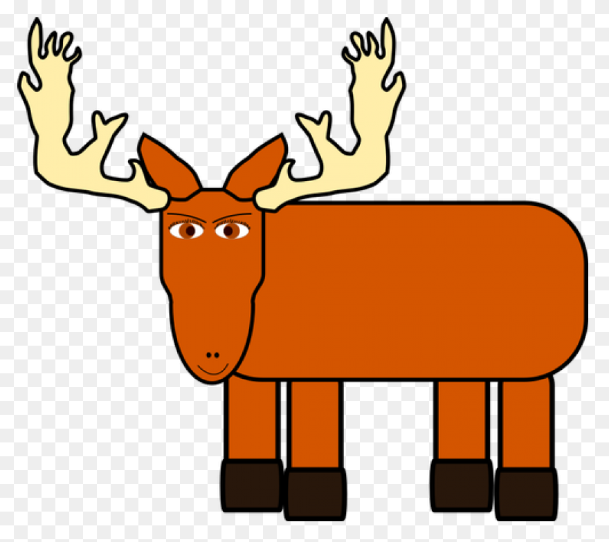 Moose Big Animals M Moose Moose Big