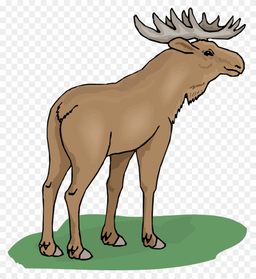 Download Free Moose Clipart Png - Moose
