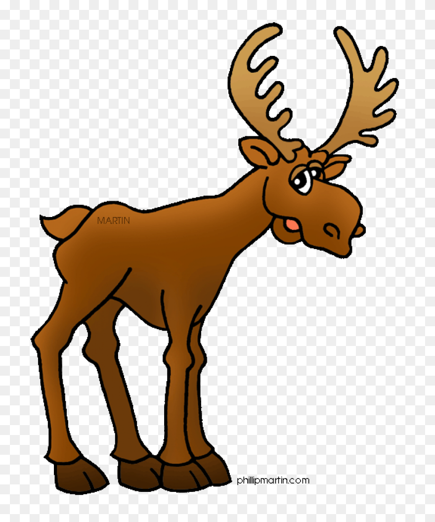 Moose Big Animals M Moose Moose Big