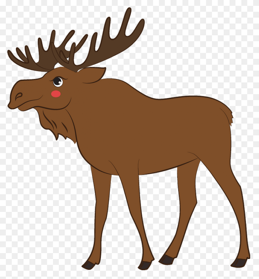 Moose Big Animals M Moose Moose Big