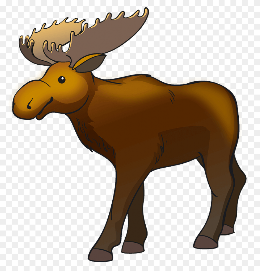 Moose Big Animals M Moose Moose Big