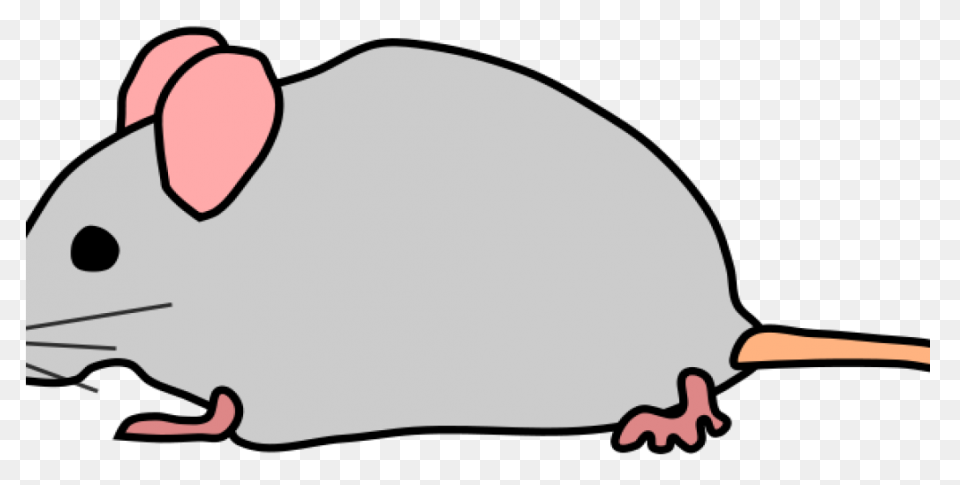 Valentine Mouse. | Animal Valentine