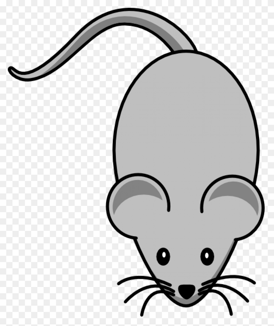 Valentine Mouse. | Animal Valentine