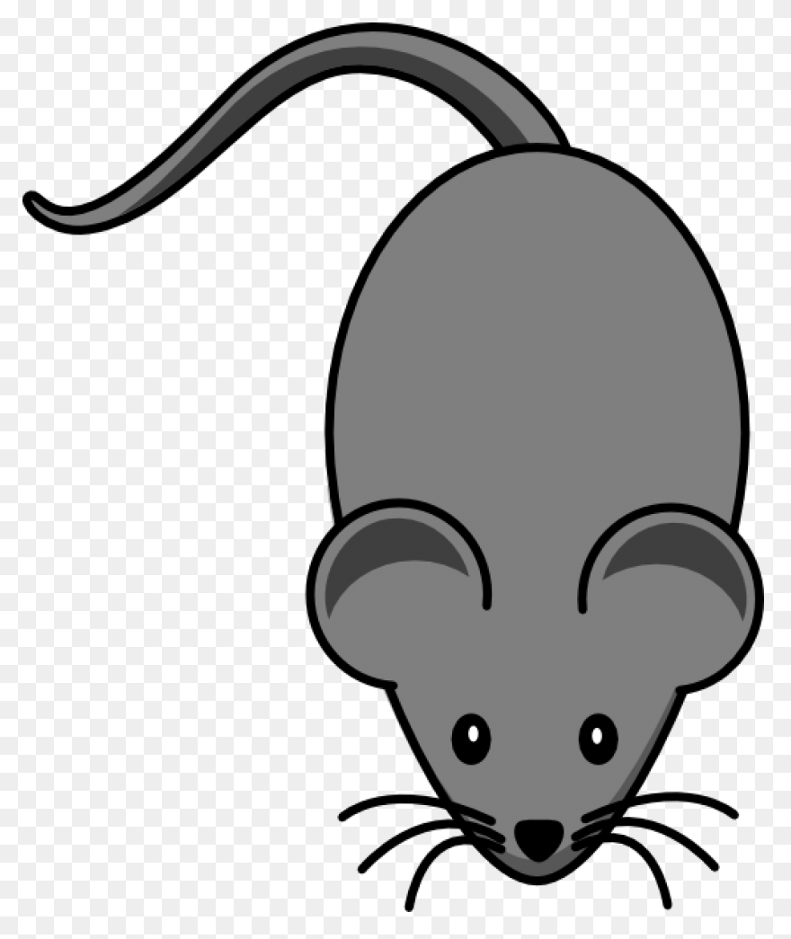 Valentine Mouse. | Animal Valentine