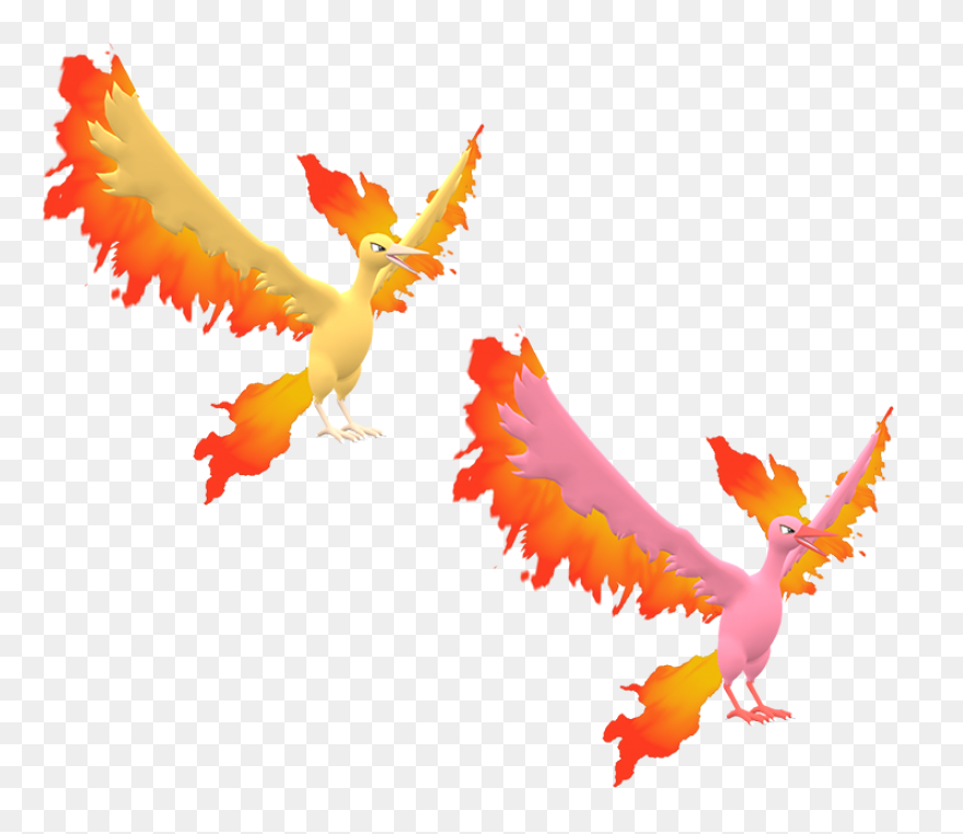 3Ds Pokémon X / Y - Moltres
