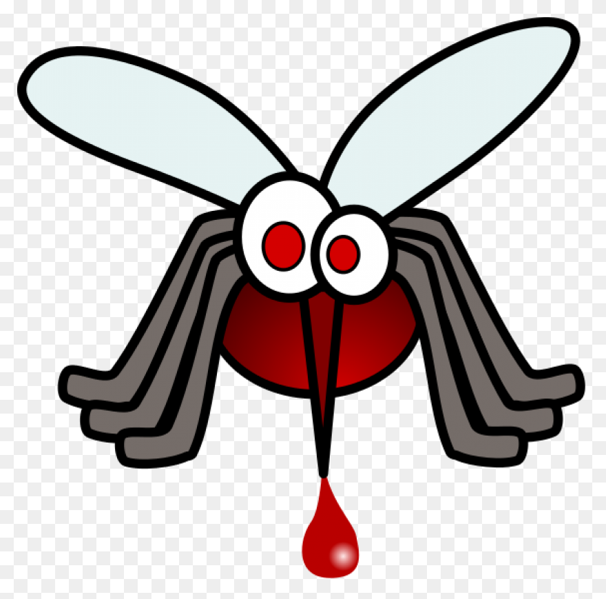 File:mosquito Gender En.PNG-WebP - 