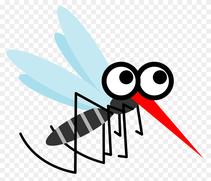 File:mosquito Gender En.PNG-WebP - 