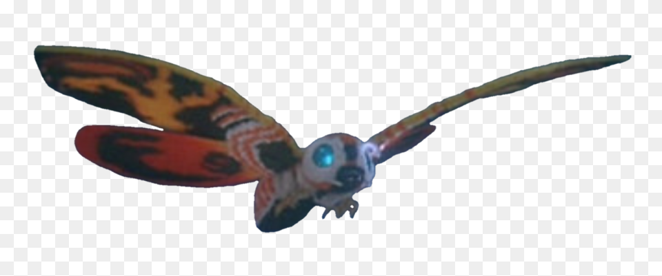 Picture - Mothra Clip Art - Png Dow
