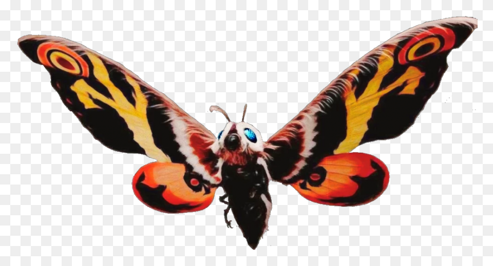 Picture - Mothra Clip Art - Png Dow
