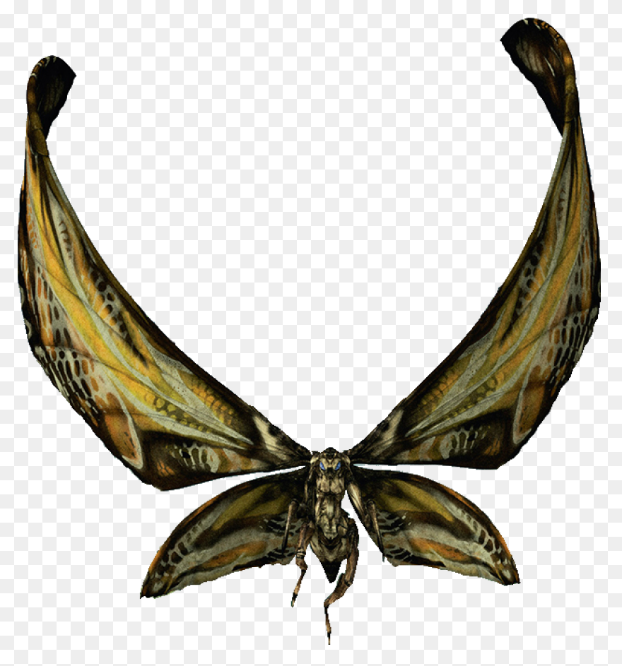 Picture - Mothra Clip Art - Png Dow