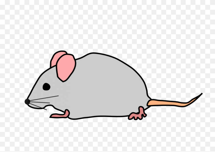 Mouse Animal Chibi - Free Image On 