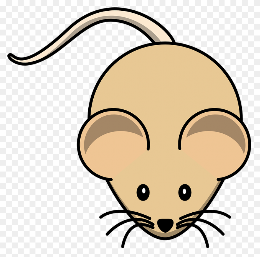 Mouse Animal Chibi - Free Image On 