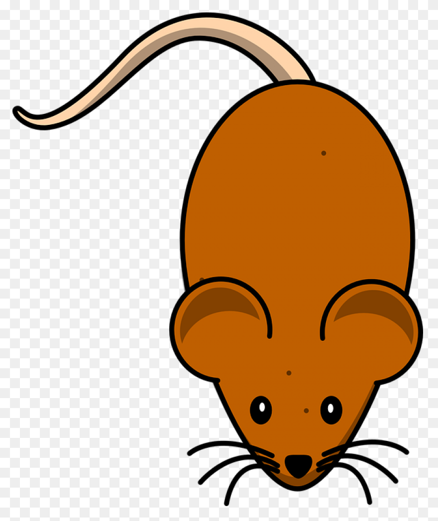 Mouse Animal Chibi - Free Image On 