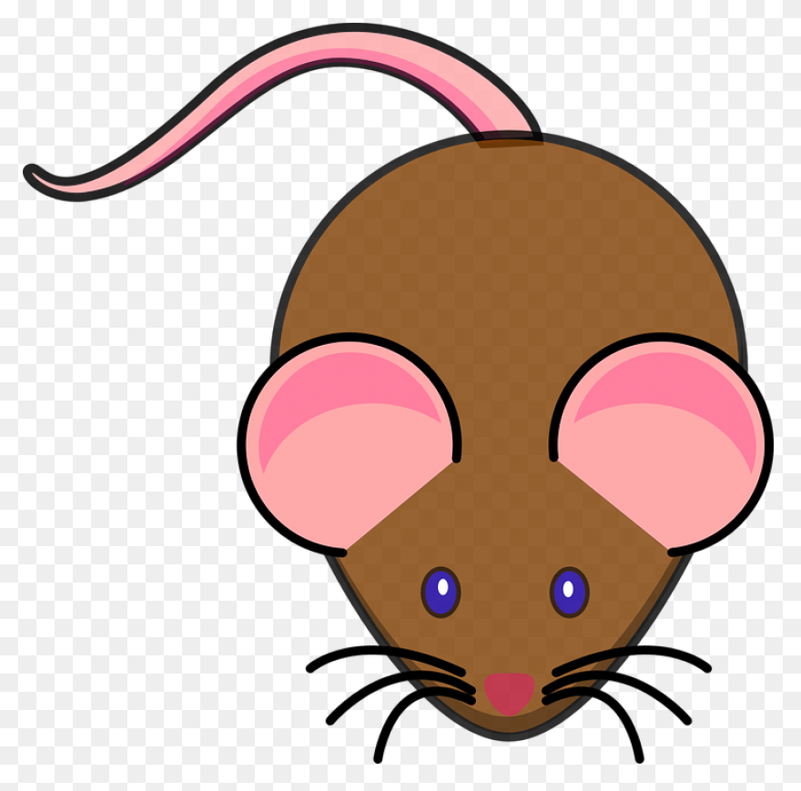 Mouse Animal Chibi - Free Image On 
