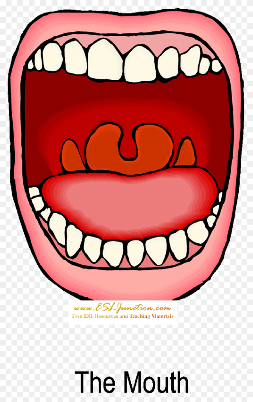 Mouth Clipart 5 - ClipartFlare Clip
