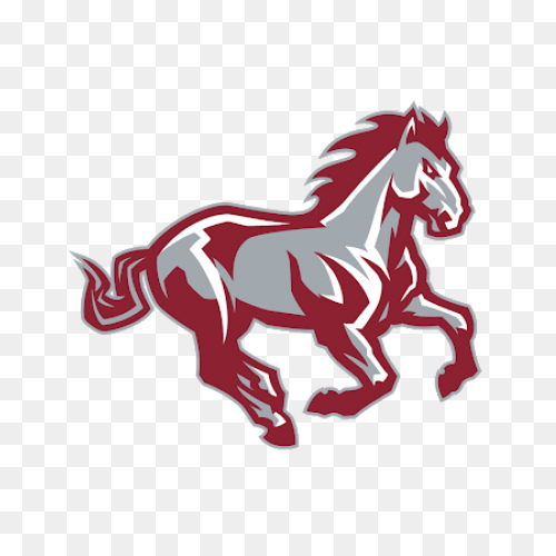 Texas Tech Vs Southern Methodist On